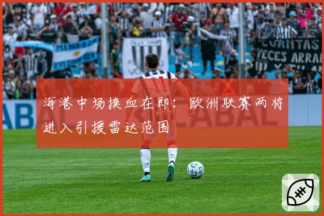 海港中场换血在即:欧洲联赛两将进入引援雷达范围