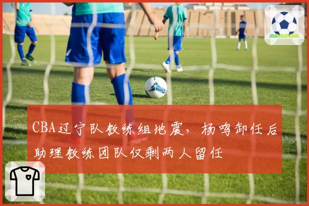 CBA辽宁队教练组地震，杨鸣卸任后助理教练团队仅剩两人留任