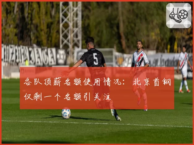 各队顶薪名额使用情况:北京首钢仅剩一个名额引关注