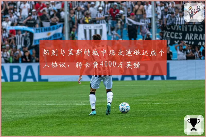 热刺与莱斯特城中场麦迪逊达成个人协议，转会费4000万英镑