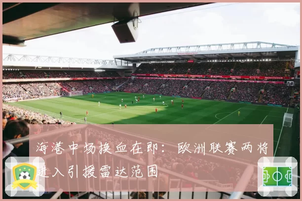 海港中场换血在即:欧洲联赛两将进入引援雷达范围